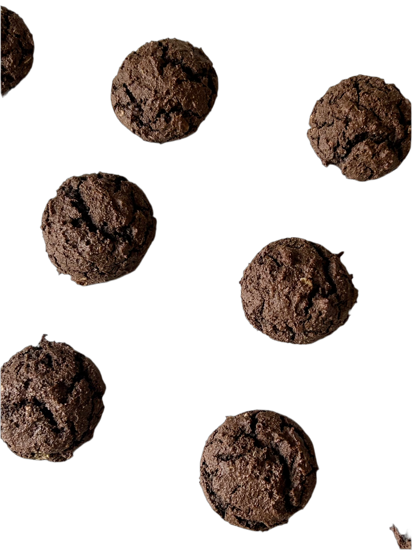 CACAO COOKIES